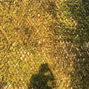 Meet your Posher, Valeria